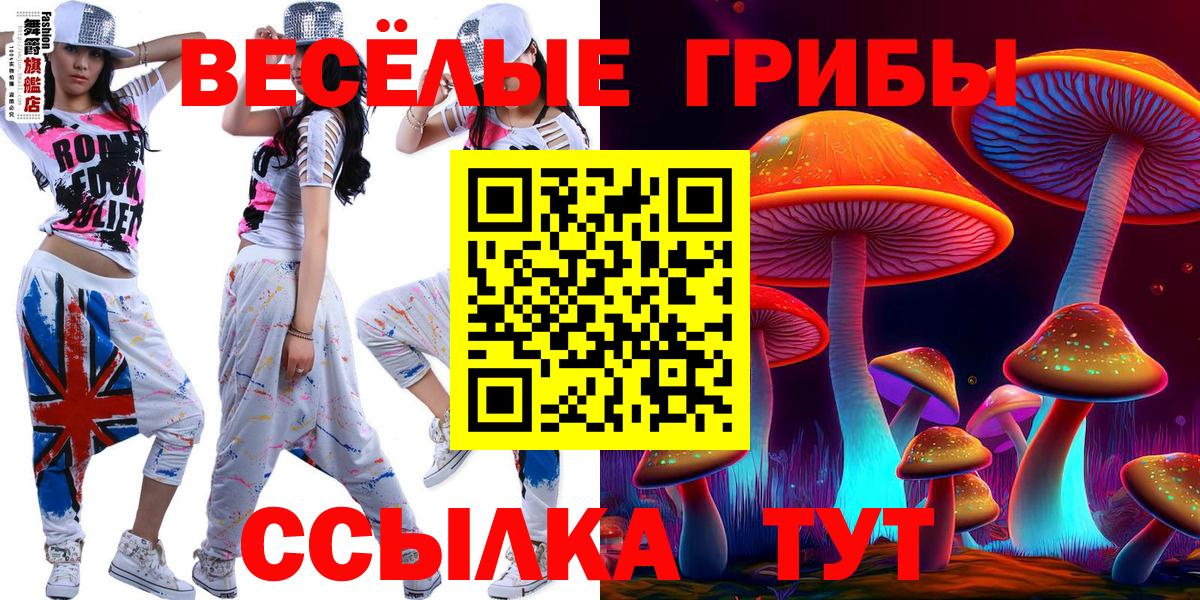 Галлюциногенные грибы Отрадное