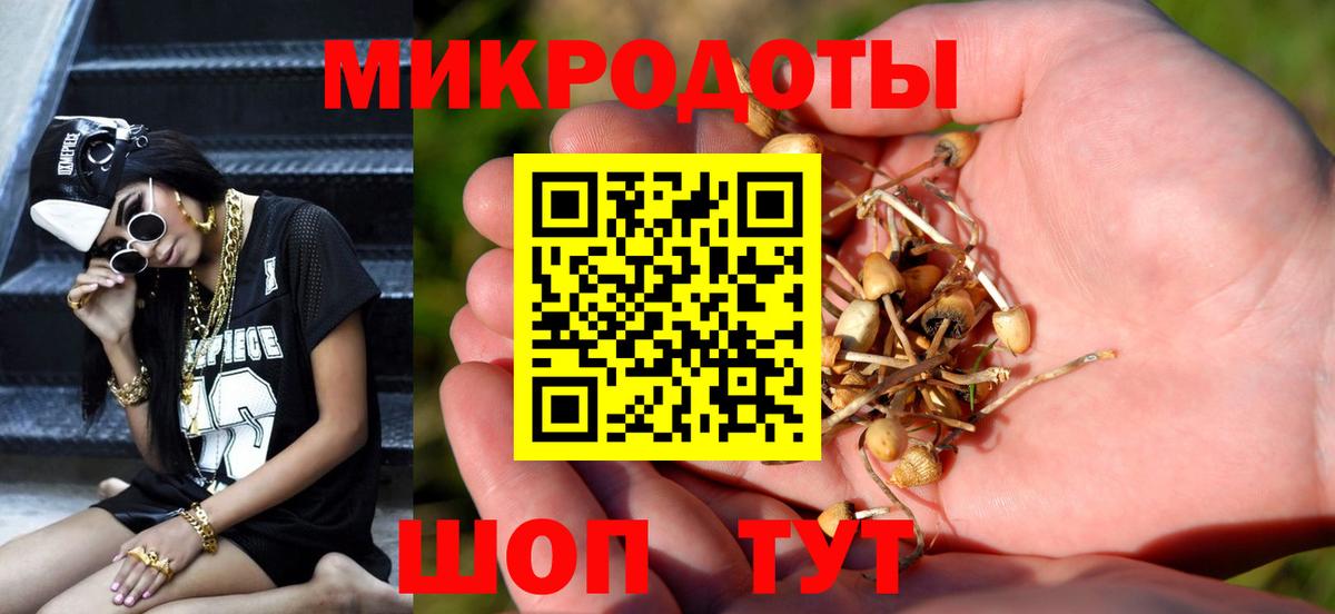 Галлюциногенные грибы ЛСД Отрадное