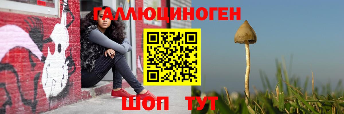 Галлюциногенные грибы Magic Shrooms  Вход с VPN  Отрадное  Псилоцибиновые грибы Psilocybe 