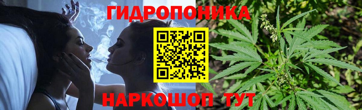 Марихуана план Отрадное